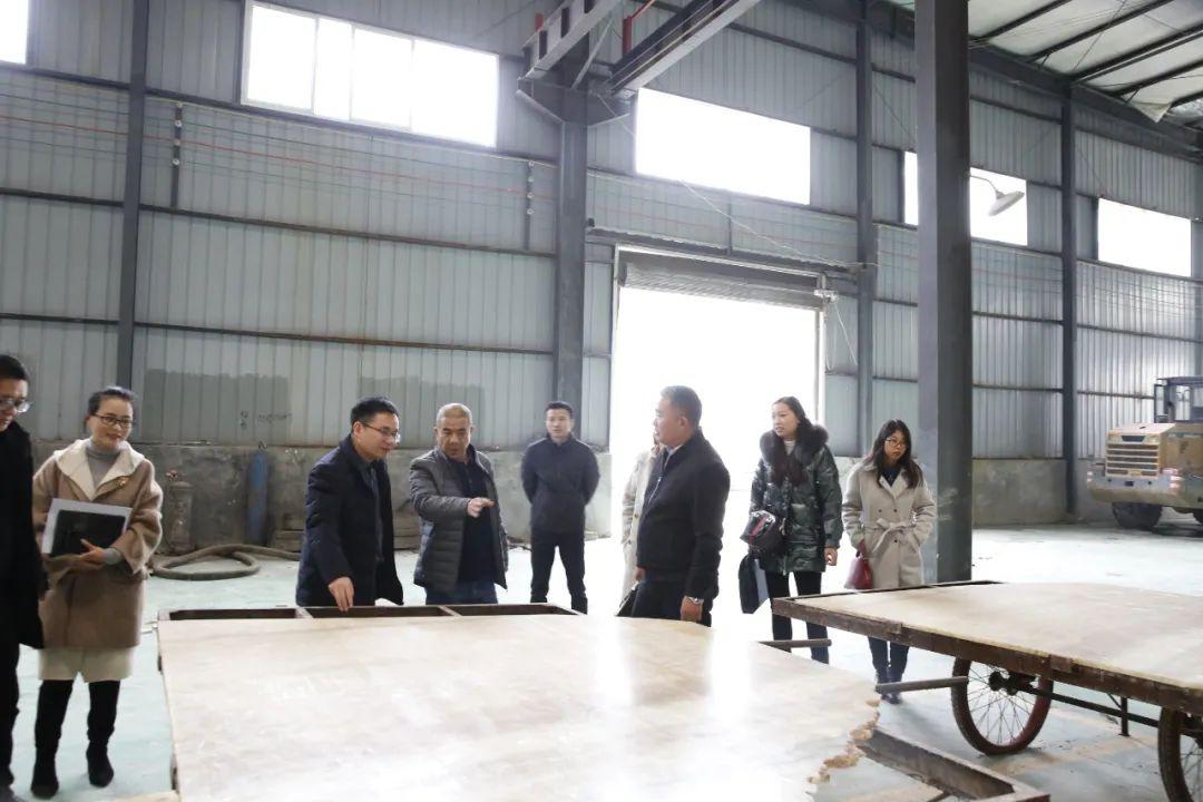 杨柳社区新项目，重塑城市生活品质，开启新篇章